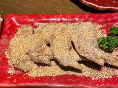 -鸟屯(三里屯店)