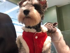 -乐口福家常菜馆(古庸路店)