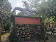 -海口火山口国家地质公园