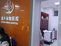 -瑞派福兴宠物医院犬猫全科·骨科·中西医结合(河东店)