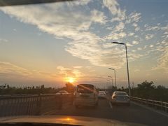 -合肥滨湖国家森林公园