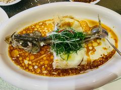 -雅盛品931海鲜酒家