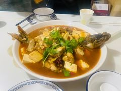 -煲来饱去冷水鱼