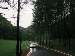 -牛背梁国家森林公园