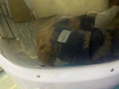 -虹泰宠物医院 ·旗舰店·24h(南秀路店)