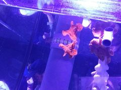 -常州海昌海洋探索馆