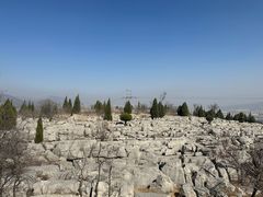 -原山国家森林公园