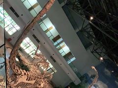 -自贡恐龙博物馆