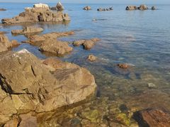 -养马岛旅游度假区