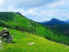 -秦岭风景区