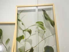 -DK45丹麦家居生活馆·依诺维绅(798店)