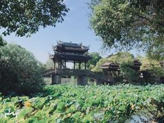 -韩湘水博园