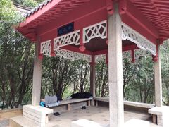 景点-菊花台公园
