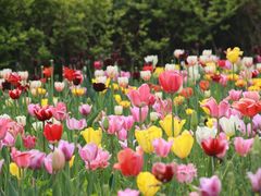 -长春公园(普阳街道)