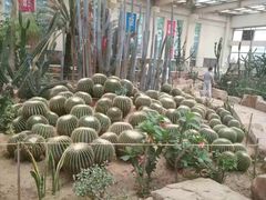 -石家庄市植物园