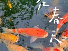 -新荣记(西溪湿地店)