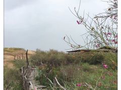 -黄沙古渡原生态旅游区