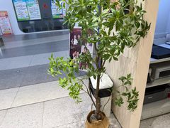 -天真蓝照相馆(五角场百联又一城店)