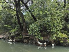 -兰亭风景区