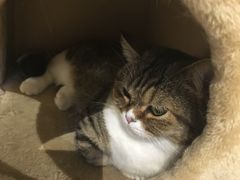 -小时光咖啡馆(开森度假森林店)