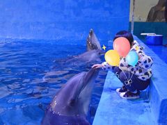 -华夏文旅海洋公园