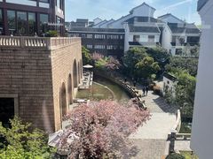 -苏州吴宫泛太平洋酒店