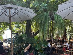 -Fern Forest Cafe