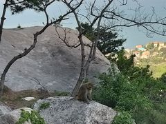 -崂山仰口游览区