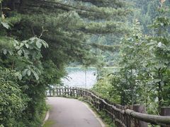 -武陵山森林公园