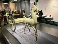 -贵州省博物馆(新馆)