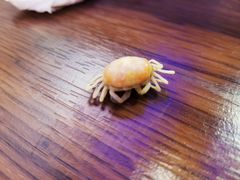 -鲁小三·大骨自助(金山总店)