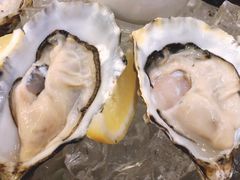 皇家生蚝-君悦酒店·La Terrazza意合園·意式风味