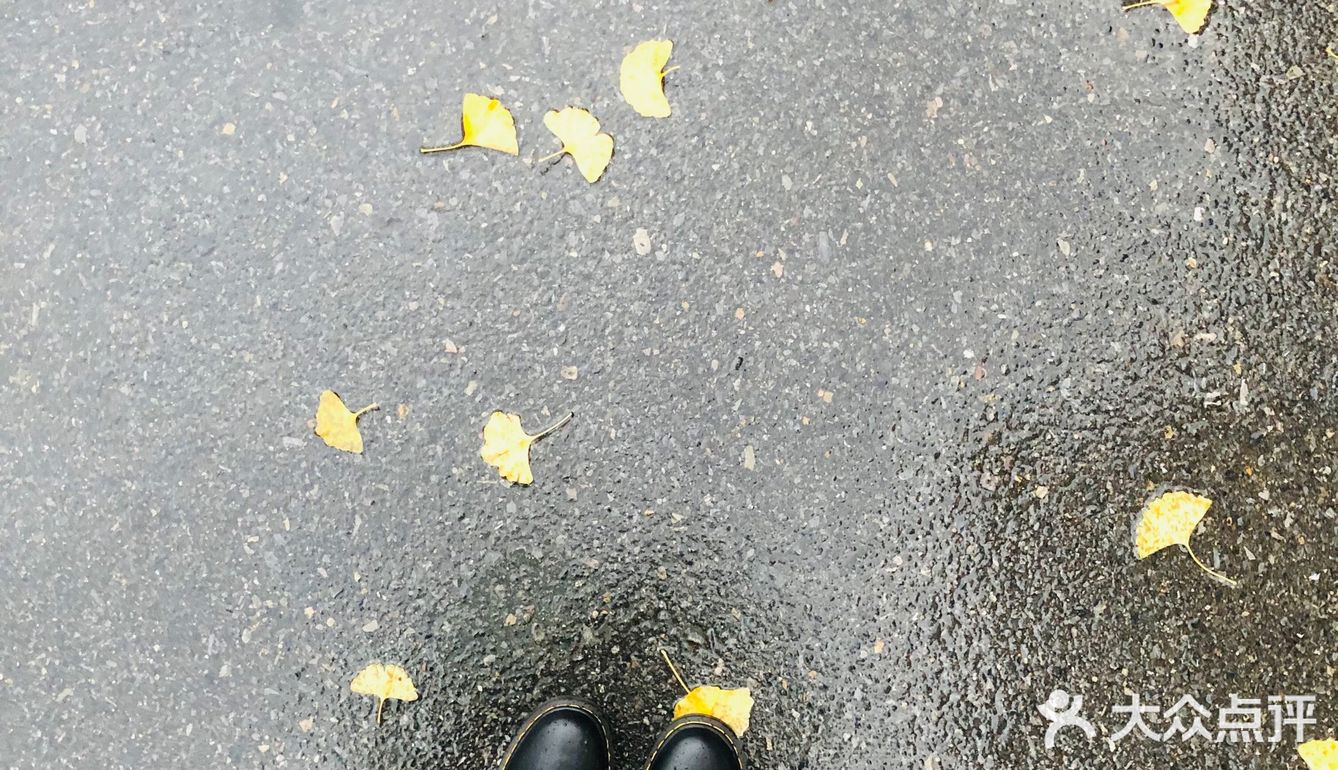故都的秋