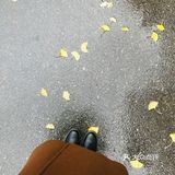 故都的秋