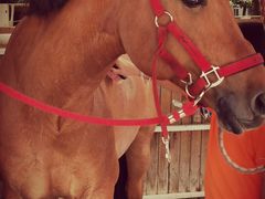 -金庭庄园酒店-停车场