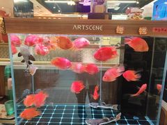 -龙记·香港茶餐厅(海上世界店)