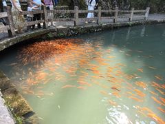 -龙瀑仙洞
