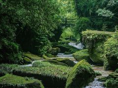-碧峰峡风景区
