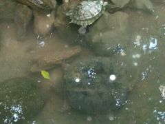 -祥源·阜阳生态乐园