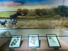 -陕西自然博物馆