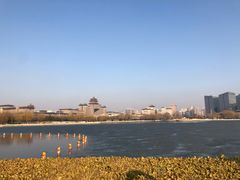 -莲花池公园