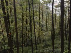 -藏龙百瀑风景区