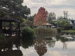 -成飞公园