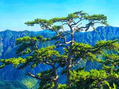 -圣莲山风景区