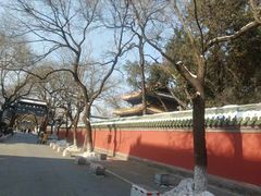 -北京国子监胡同