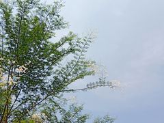 -仙岳公园