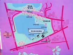 -西北湖绿化广场