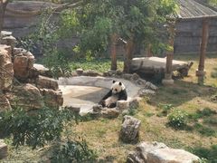 -石家庄市动物园