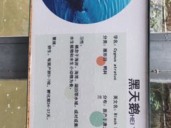 -柳州市动物园