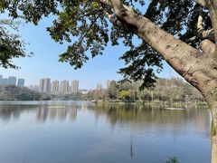 -重庆彩云湖湿地公园